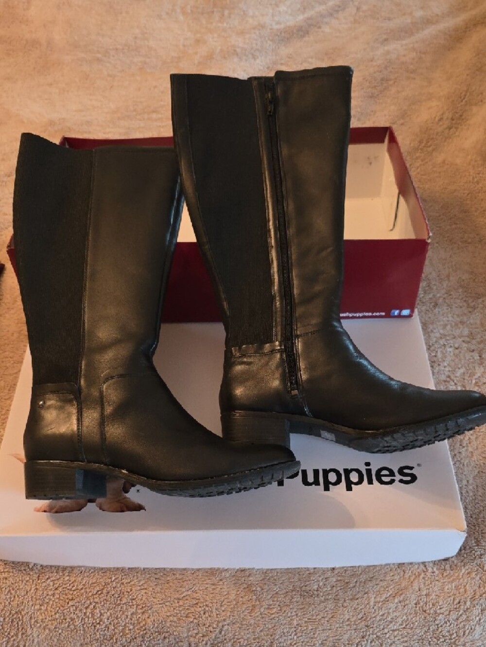 Hush Puppies Black Knee-High Riding Boots - Picture 2 of 11